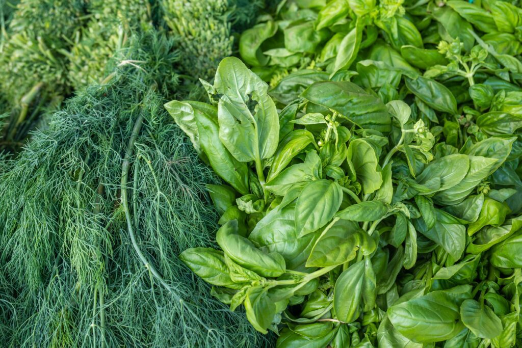 albahaca