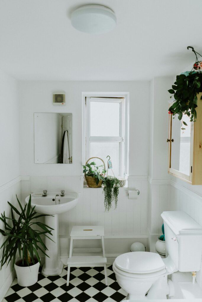 Baño blanco plantas