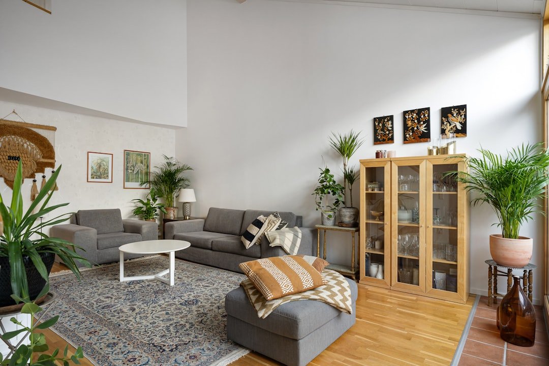 Imagen de decoración: unsplash 1af040fd