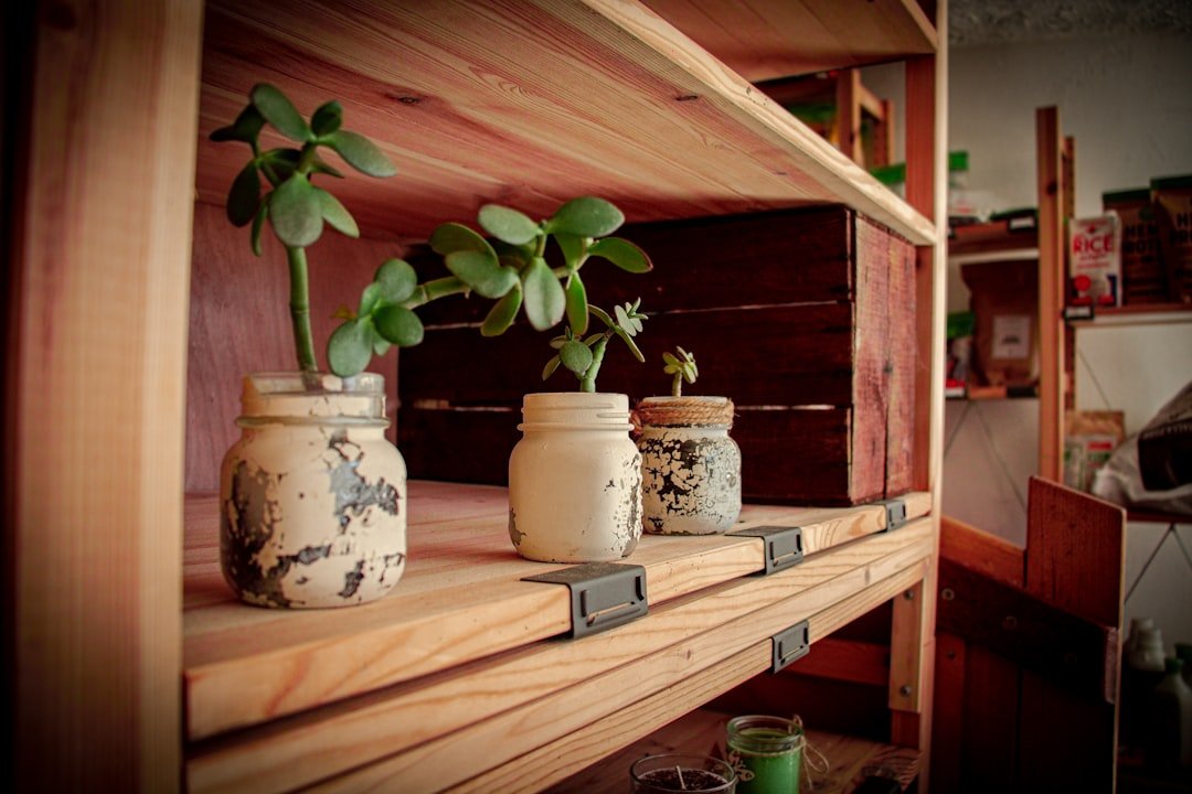 Salón luminoso con sofá modular gris, mesa de centro con almacenaje oculto, y una gran planta de hoja verde en una maceta de 
