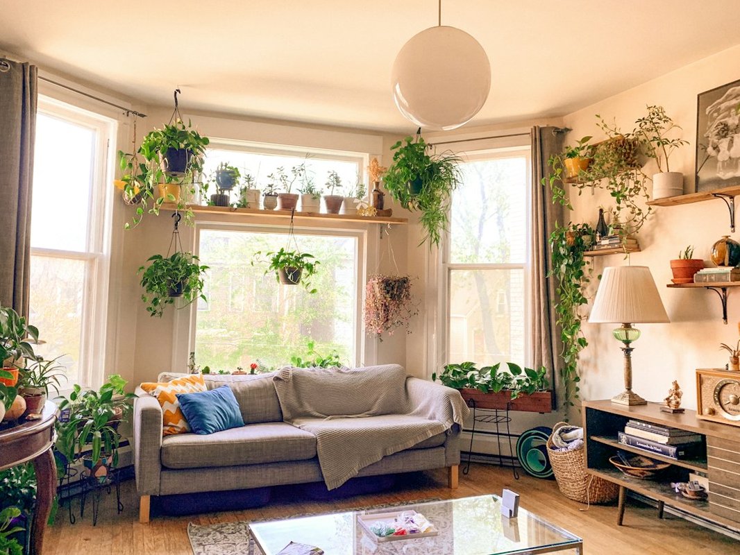 Plantas en otoño agrupadas junto a una ventana luminosa en un salón con madera y tonos tierra
